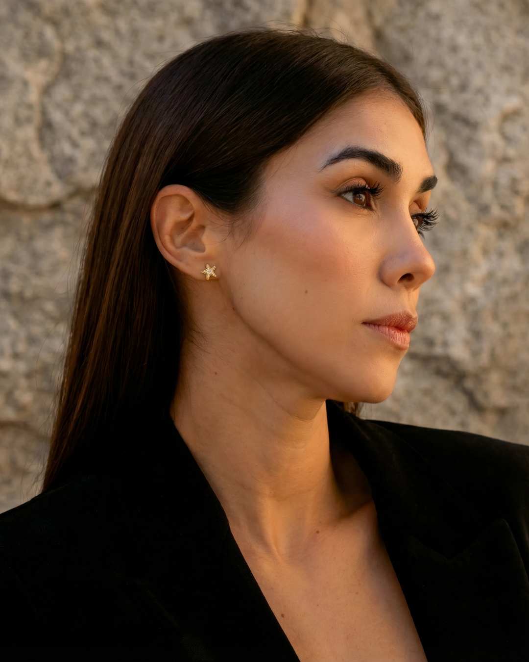 ARETES MICRO PAVE STARS